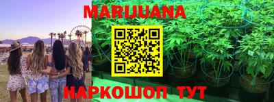 спиды Рыбинск