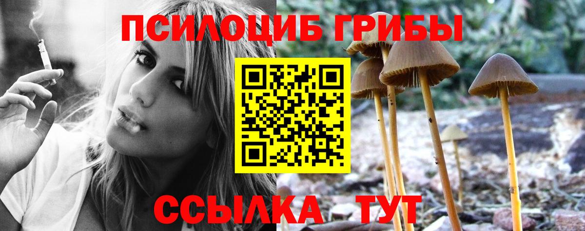 Новодвинск  Галлюциногенные грибы Psilocybine cubensis  Вход с VPN  Галлюциногенные грибы мицелий 